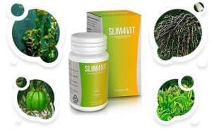 slim4vit