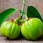 Garcinia cambogia
