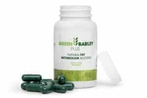 green barley plus