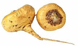 Ginseng