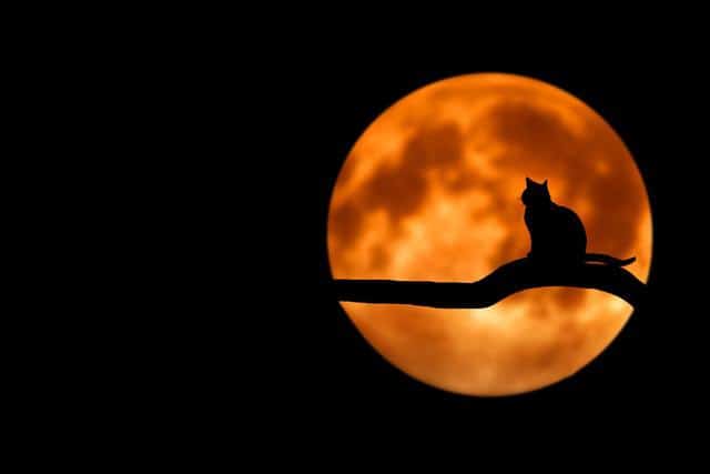 luna llena