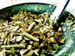 Yerba mate