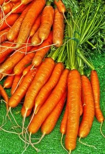 Zanahorias
