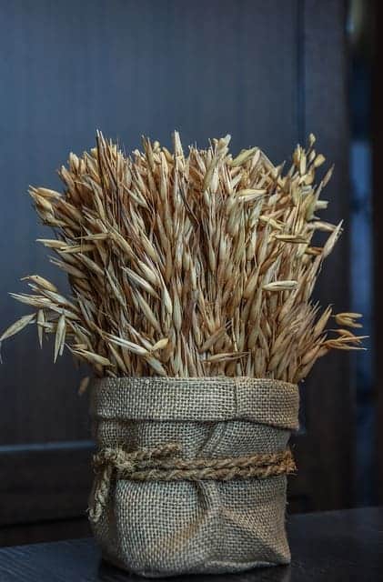 grano