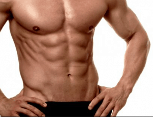 músculos abdominales

