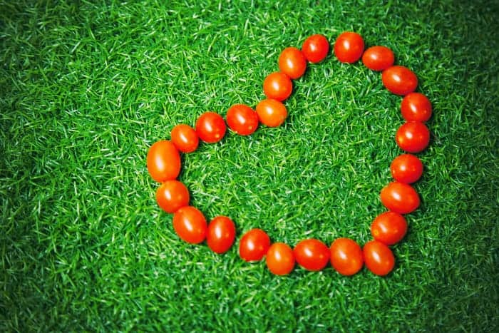 tomates