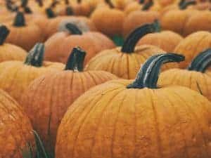 calabaza