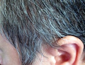 pelo gris