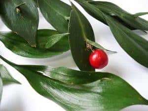 fruta