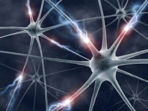 neuronas