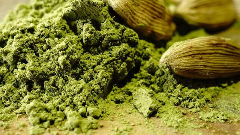 polvo de té matcha