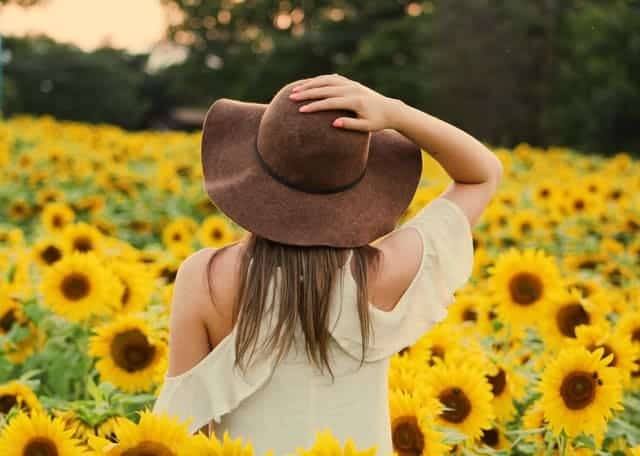 una mujer camina por un campo de girasoles