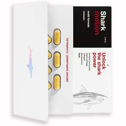  Shark Motion