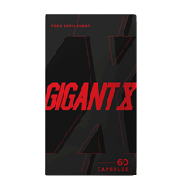  GigantX