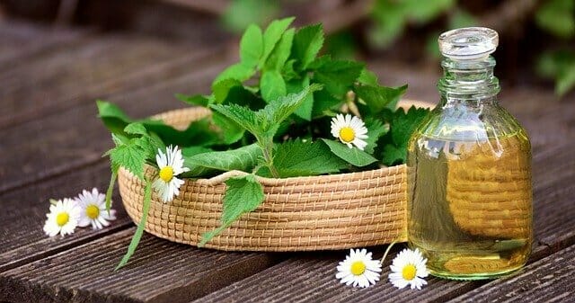 Una botella de aceite y hierbas frescas