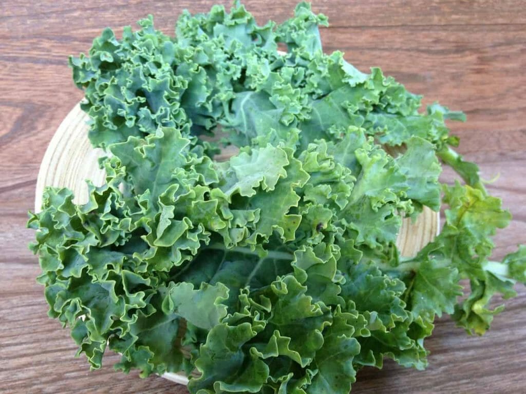 kale 233127 1280 1