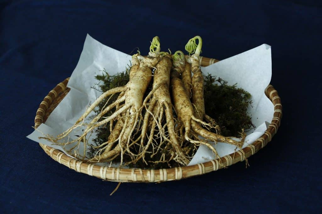 Raíz de ginseng