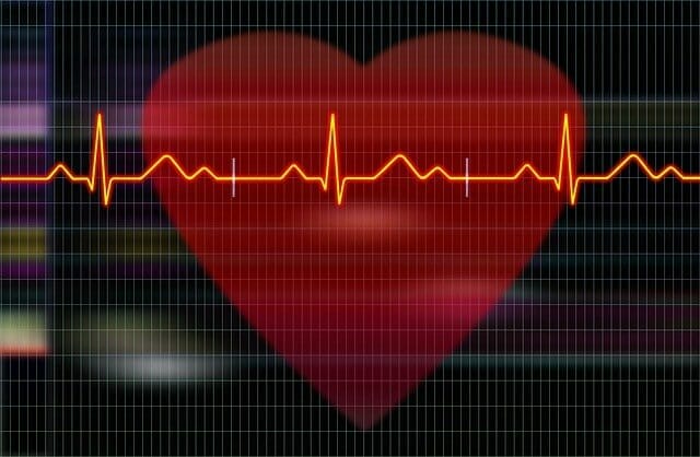 gráfico que muestra los registros del corazón y del electrocardiograma