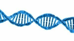 dna g41dc62dcf 640 300x169 1