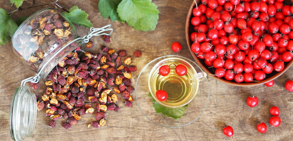 Infusión de espino blanco en taza, junto con frutos de espino blanco