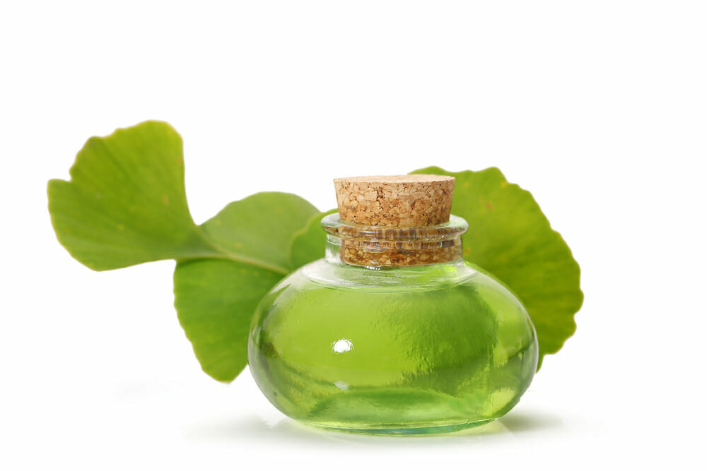 Hojas Ginkgo biloba