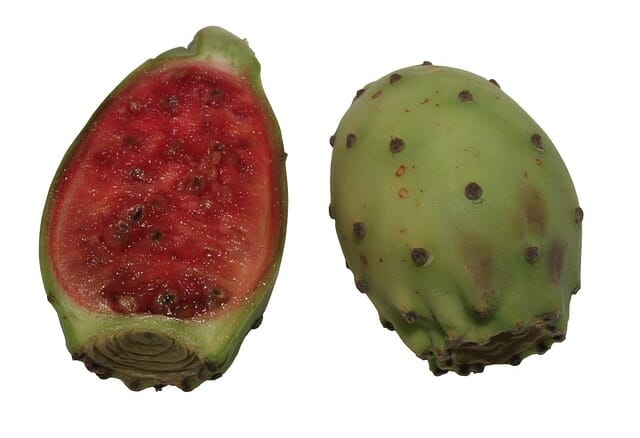 Pera cactus cortada por la mitad