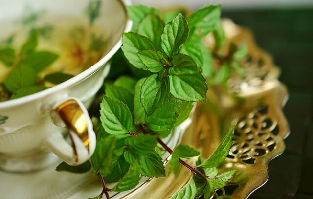 Tisana en taza