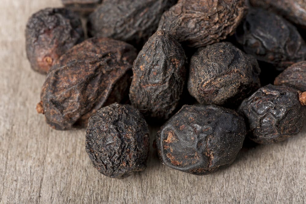 fruto seco de palma sabal