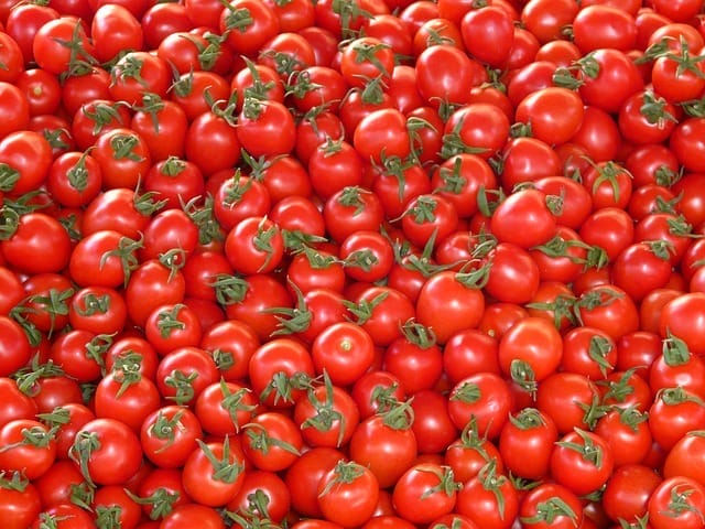 tomates