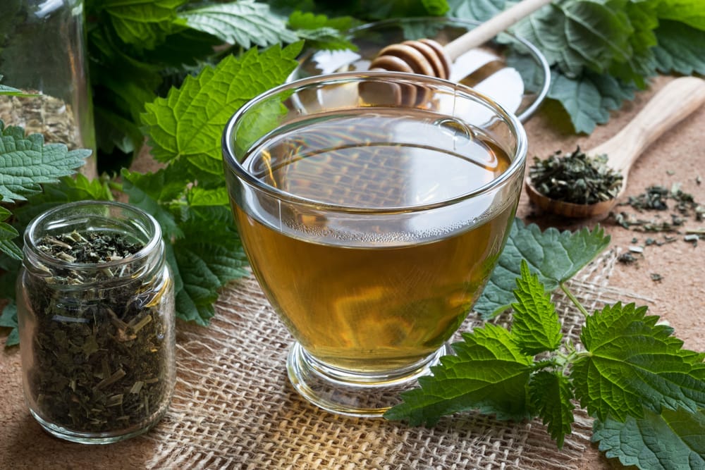 Infusión de hierbas en un vaso, ortiga fresca al lado y un frasco de hierbas