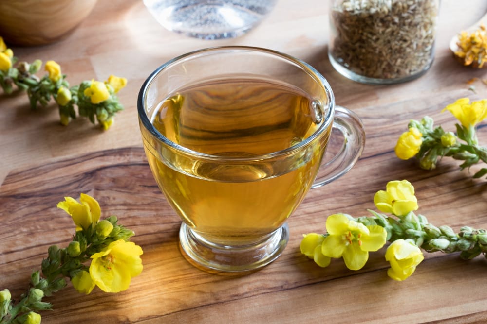  infusión de hierbas de gordolobo para un resfriado