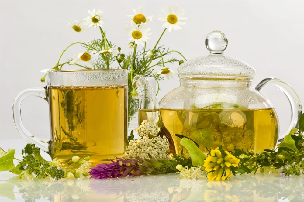  Tisana en tetera y vaso, junto con hierbas frescas