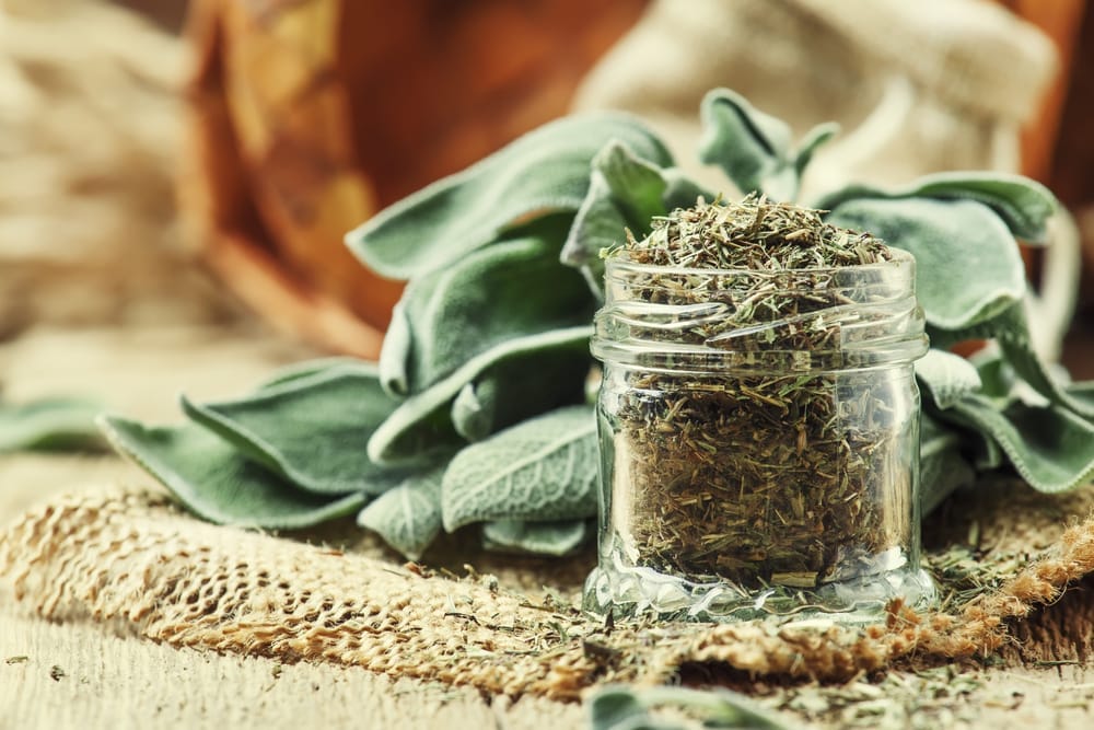 Salvia fresca y seca