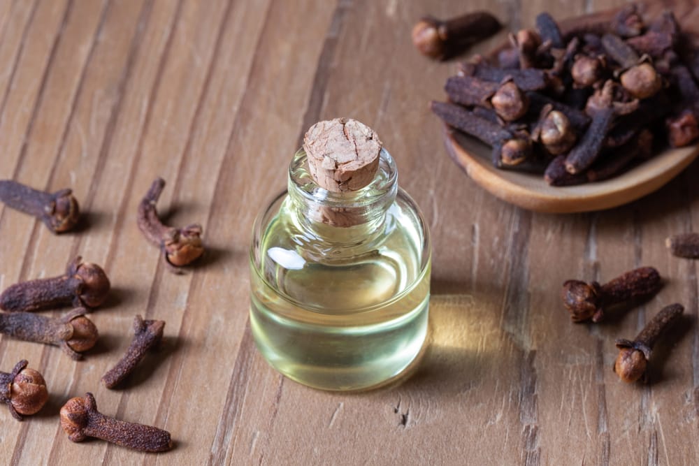 Aceite de clavo en un frasco, clavos secos al lado