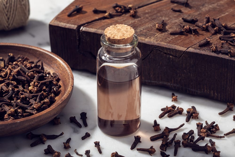 infusión de clavo en un frasco, clavo seco al lado